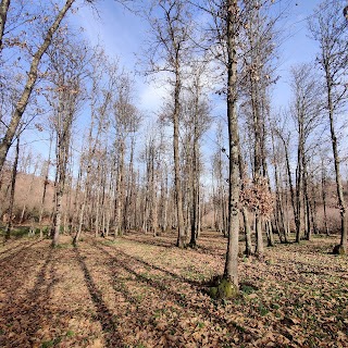 Parco dell'Ontanese