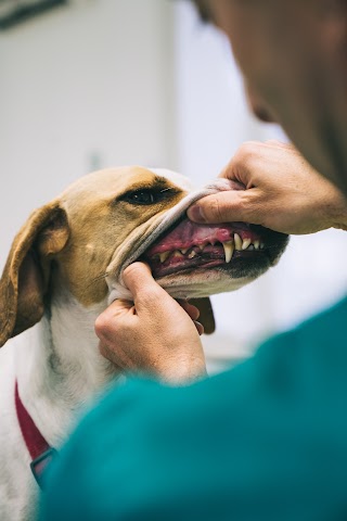 Il Mio Veterinario - Azzano Mella