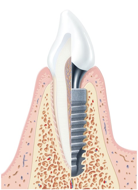 Medical Equipe s.r.l. ODONTOIATRIA Convenzionata ASL Servizio Sanitario Regione Lombardia