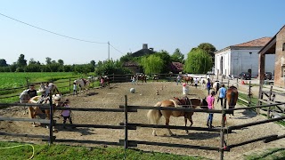 Circolo Ippico Free Ranch