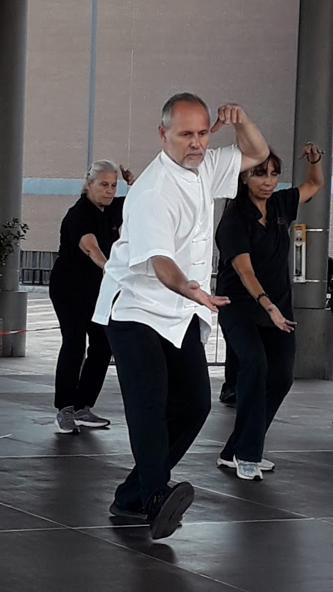 Taijiquan a Sesto S.G., Kung fu , rieducazione posturale.. Movimento e Percezione Asd .