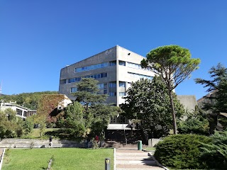 Edificio C1