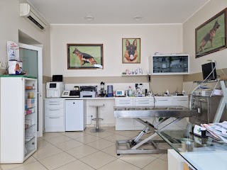 Ambulatorio Veterinario Viguzzolo