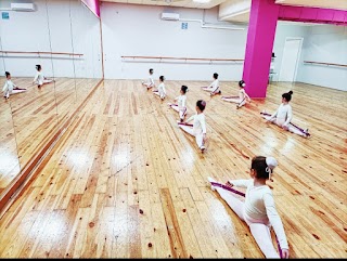 Centro Studi Danza "Il Lago Dei Cigni"