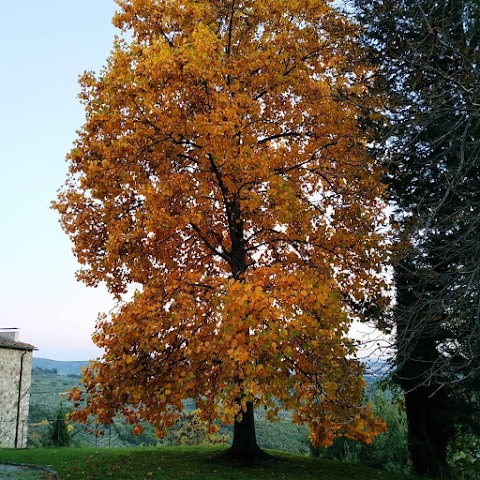 Agriturismo Cercina Vecchia II