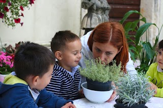 Asilo Nido - Scuola Internazionale Bilingue Maria Montessori