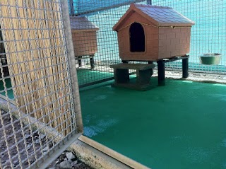 Dog Hotel di F.lli Manzi