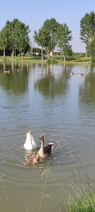 Mirror lake