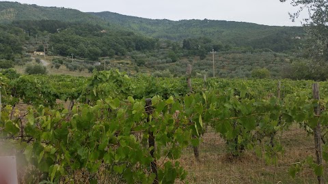 PODERE PIANA