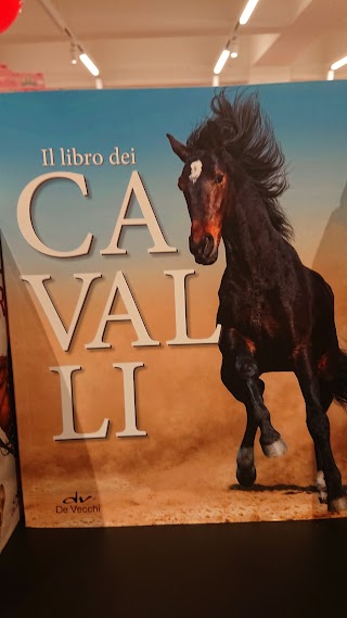 Giunti al Punto Librerie