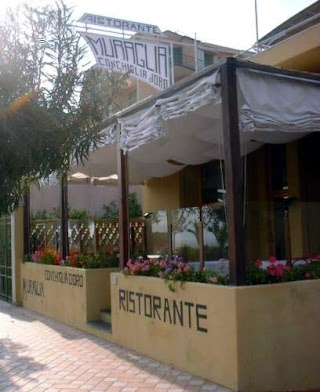 Ristorante Muraglia Conchiglia d'Oro