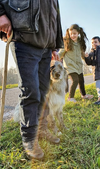 agriturismo foce mincio corte bosco