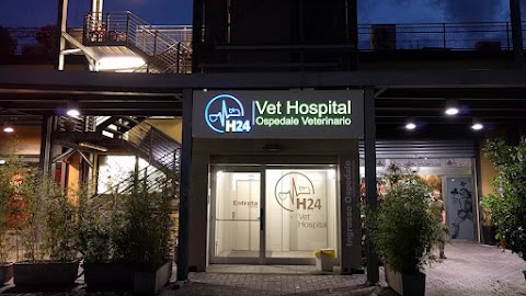 Vet Hospital H24 Firenze