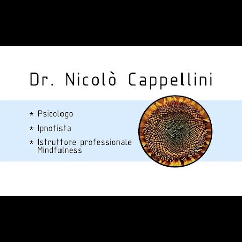 DR. NICOLÒ CAPPELLINI