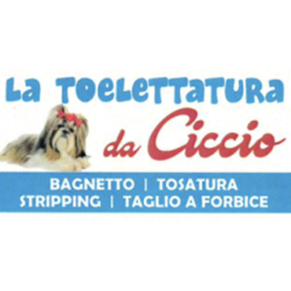 Toelettatura da Ciccio