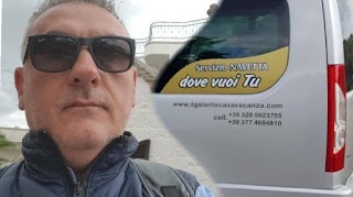 Noleggio Navetta DOVE VUOI TU