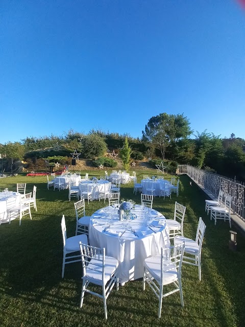 VERDEMIGLIO (IL MIGLIO VERDE) di Giargia Marina