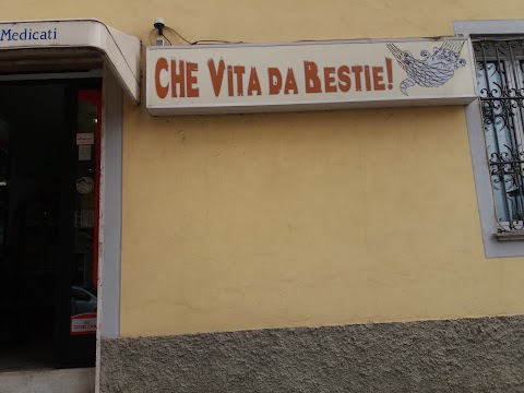 Che Vita Da Bestie Di Benetti Paolo