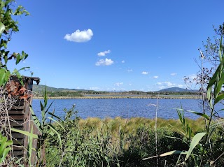 Oasi WWF Lago di Burano