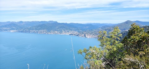 Sentiero san Rocco-Batterie-san Fruttuoso