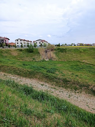 Parco Volano Oasi Naturalistica Trezzano Rosa