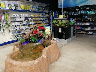 Zoomegastore Somma Lombardo