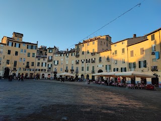 Piazza dell'Anfiteatro - Lucca