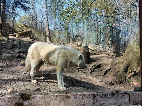 Zoo Park Rožman