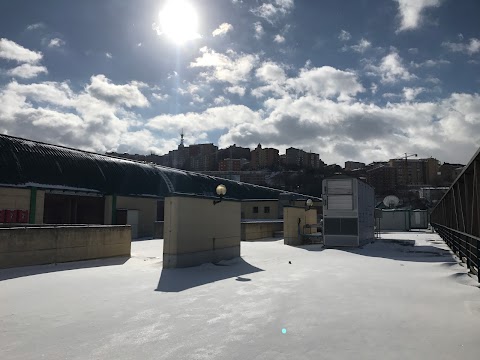 Università degli Studi della Basilicata