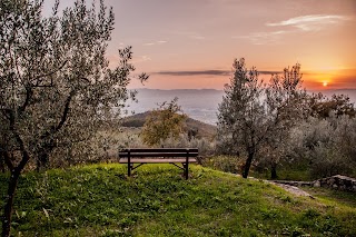 Azienda Agricola IL POGGIOLINO Montemurlo