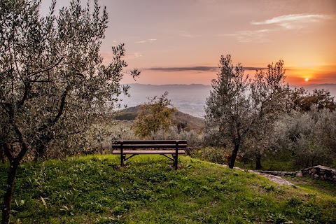 Azienda Agricola IL POGGIOLINO Montemurlo