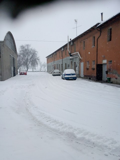 Sottotono