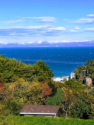 Mercator Belokriška Portorož