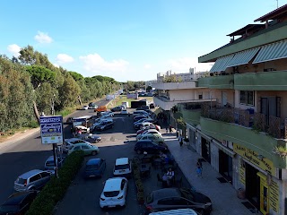 Delegazione Comune Di Ardea