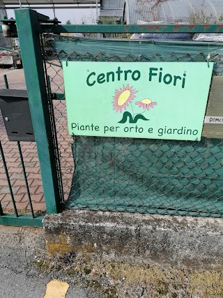 Punto Fiore