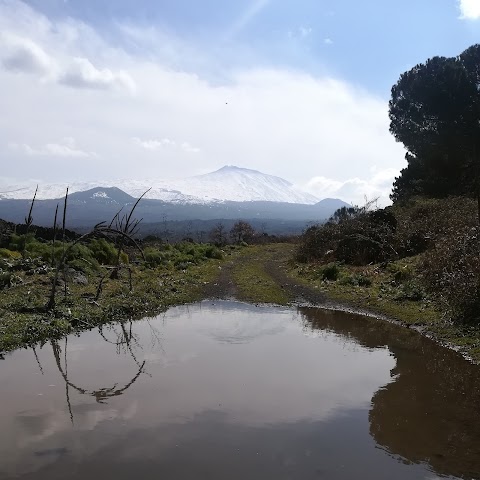 Lago Gurrida