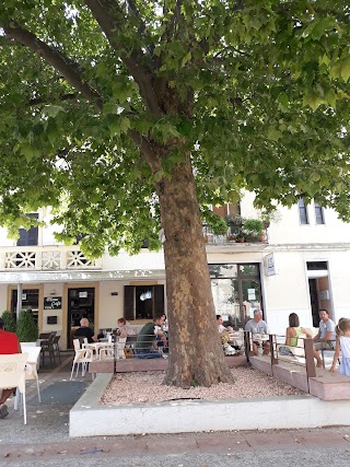 Olmo Cafè