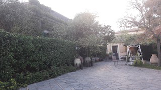 Agriturismo Trinità