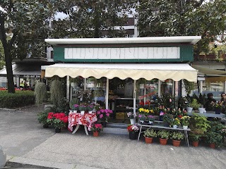 Gionni Piante e Fiori di Barsoum Hanna Hanna