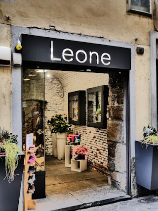 Leone Aosta