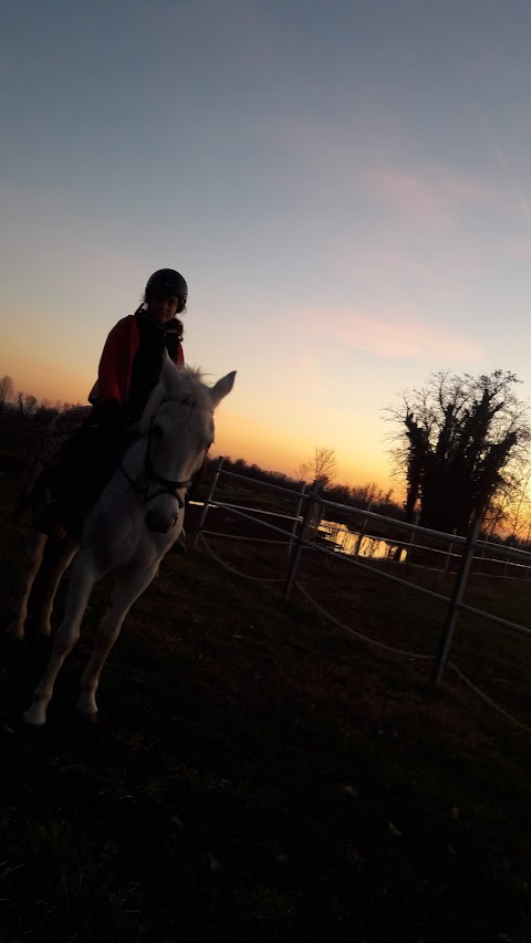 Centro Equestre Le Siepi