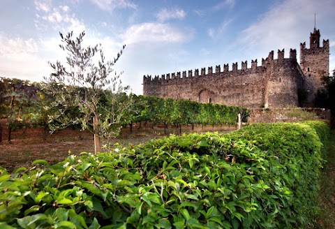 Elide Montanari - Guida Turistica autorizzata Brescia , Iseo , Garda