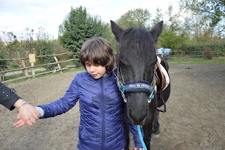 Associazione di Riabilitazione Equestre "Il Paddock"