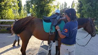 Centro Ippico Tenuta Santa Grazia - Isamar Horse Riding Center