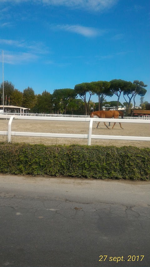 ROMA PONY CLUB