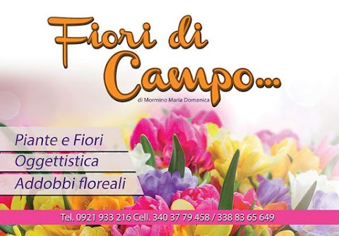 Fiori Di Campo... Di Mormino Maria Domenica