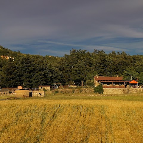 Agriturismo Le Casellacce