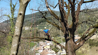 DGM Multiservizi Spazzacamino e Lavori su Corda e Fune