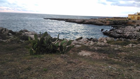 Acquario del Salento