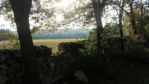 Masseria Odegitria